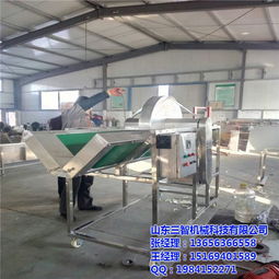 長春娃娃菜自動劈半設備,山東三智機械,娃娃菜自動劈半設備廠家