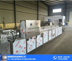 雞爪生產(chǎn)線哪家好 東莞雞爪生產(chǎn)線 諸城順澤機械