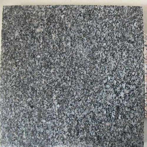 河北芝麻灰廣場(chǎng)磚 中興石材銷售批發(fā) 芝麻灰廣場(chǎng)磚廠家電話